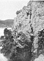FMIB 50794 Cliffs of Marble near the Western Side of North-West Bay, Campbell Island.jpeg