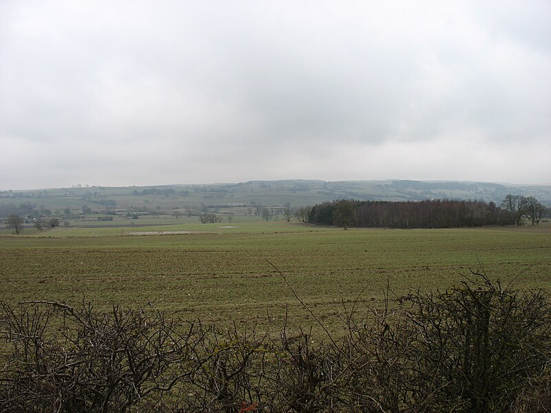 File:Fields near Ravensworth - geograph.org.uk - 3379676.jpg