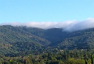 Fog on Black Mountain, the headwaters of Adobe Creek.