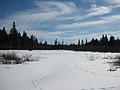 Footprints in the frozen marsh - panoramio.jpg