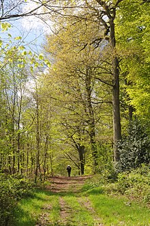 Desvres nasjonalskog - GR121 tursti