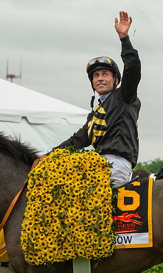 <span class="mw-page-title-main">Gary Stevens (jockey)</span> American jockey