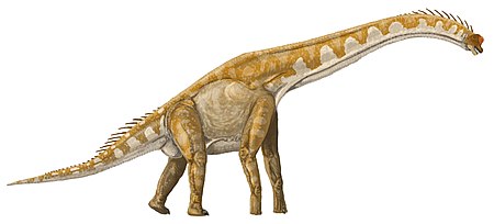 Giraffatitan DB.jpg