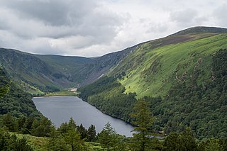 <span class="mw-page-title-main">Wicklow Mountains National Park</span> 205-square-kilometre (51,000-acre) protected area in Ireland