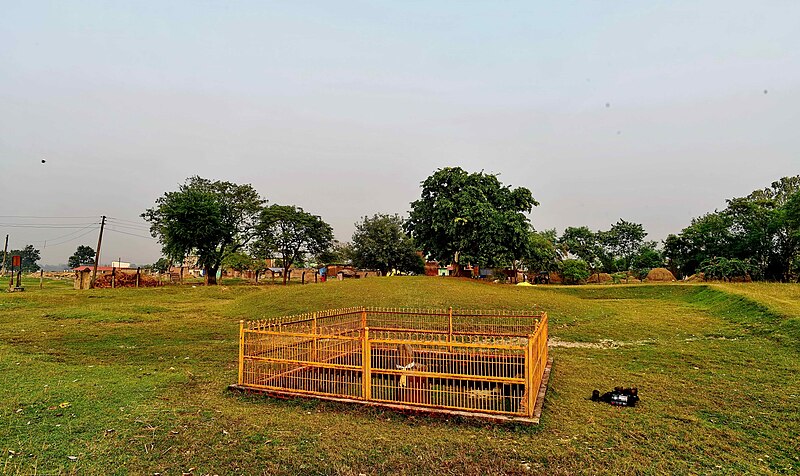 File:Gotihawa Achok Pillar Taulihawa Kapilbastu Lumbini Zone Nepal Rajesh Dhungana (18).jpg