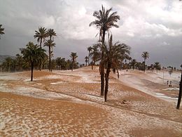 Bechar - Widok