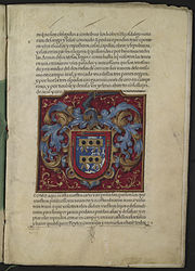 Illustration from a sixteenth century grant of arms signed by Philip II of Spain.
