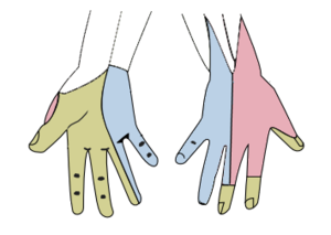 Gray812and814 hand.png
