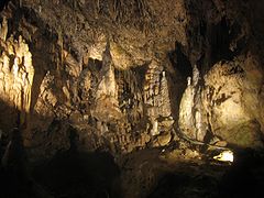 Grotten van Han - grot 1.jpg