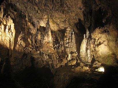 How to get to Grottes de Han with public transit - About the place