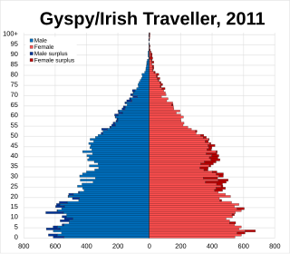 <span class="mw-page-title-main">White Gypsy or Irish Traveller</span> Ethnicity classification used in the 2011 United Kingdom Census