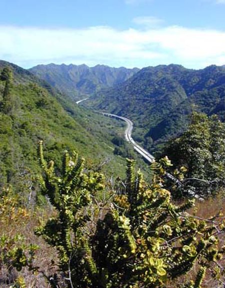 H3 viaduct Halawa