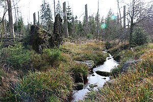 Rhume Oder: Geographie, Hydrographie, Glaziale Prägung