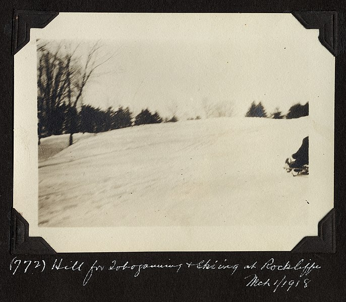 File:Hill for tobogganing at Rockliffe Park, Ottawa (PR2004-006.3.3-772).jpg