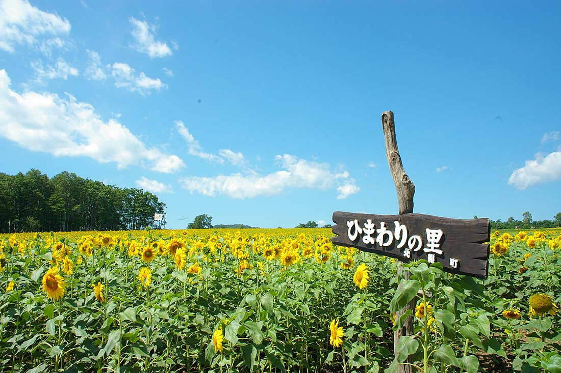 Hokuryū, Hokkaido