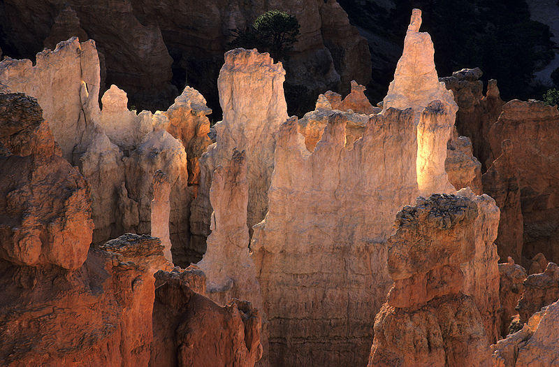 File:Hoodoos in the Bryce Canyon National Park.jpg