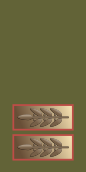 File:IDF Ranks Segen.svg