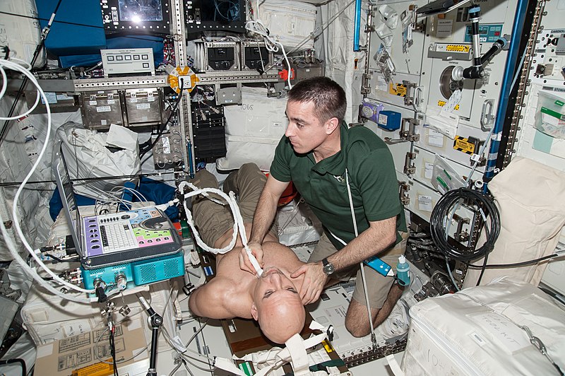 File:ISS-36 Luca Parmitano and Chris Cassidy in the Columbus lab.jpg
