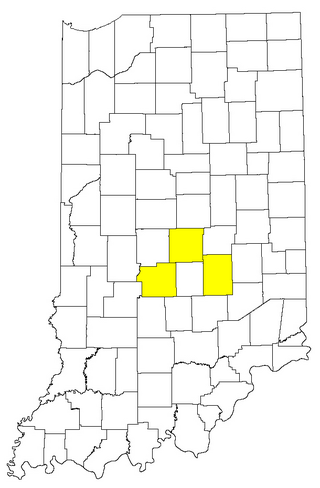 <span class="mw-page-title-main">Indiana Crossroads Conference</span>