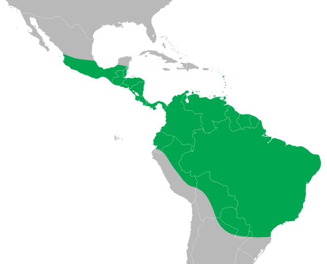 Description de l'image Iguana iguana distribution map.png.