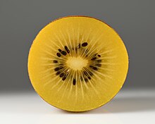 Yellow kiwifruit Kiwifruit 'Gold' cross section.jpg