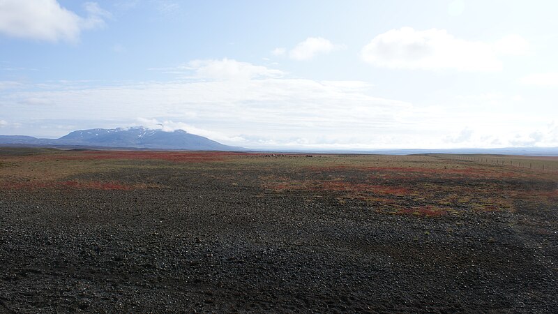 File:Kjolur-voldesert.jpg