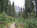 Vignette pour Parc provincial de Kokanee Glacier