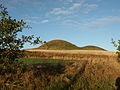 The grave mounds "Kungshögarna" about 1300 B.C. from Oxie, Sweden.