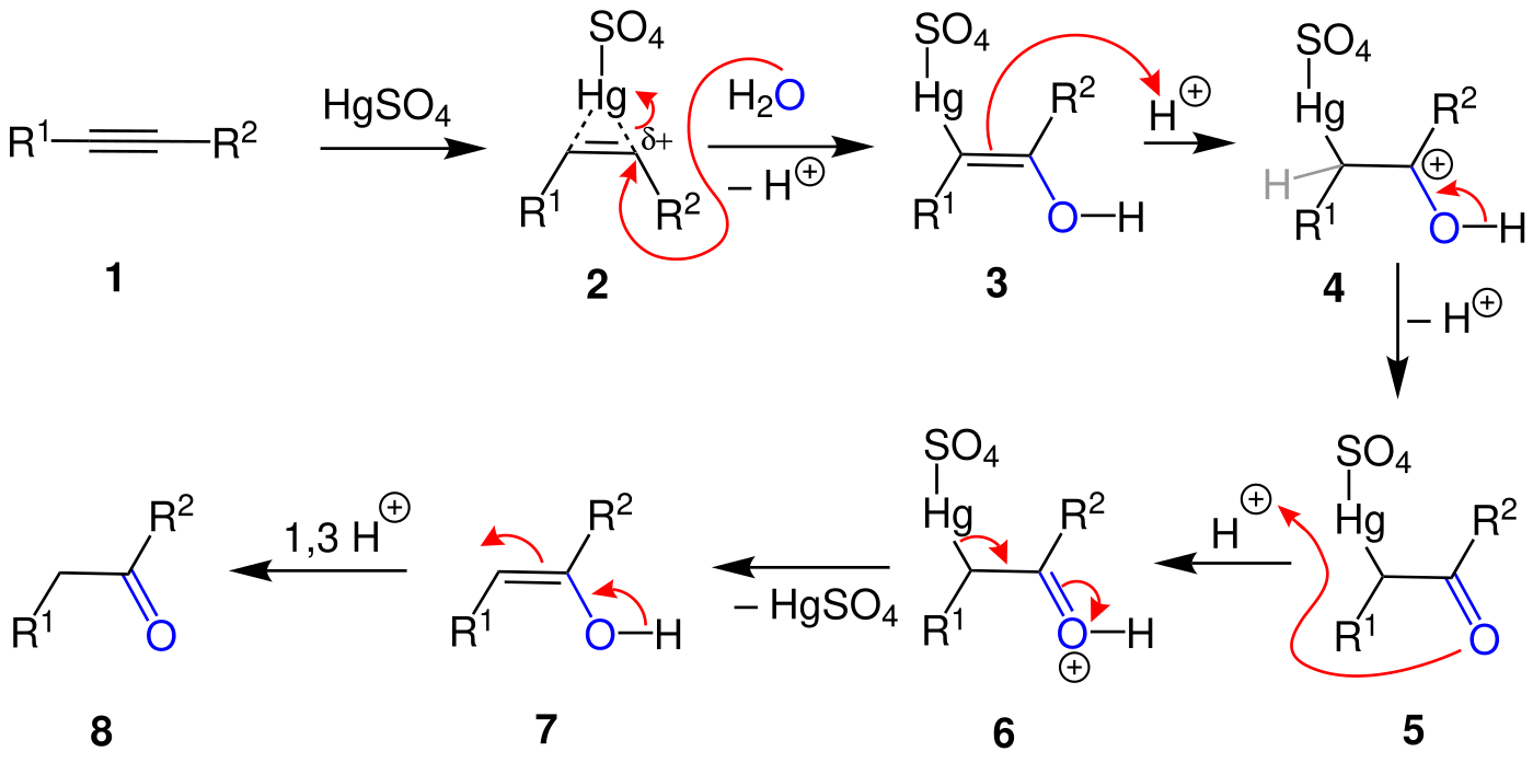 Реакция Кучерова механизм реакции. Гидратация по Кучерову механизм. Гидратация ацетилена механизм реакции. Реакция Кучерова пропин и механизм.