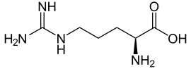 L-Arginin - L-Arginine.svg