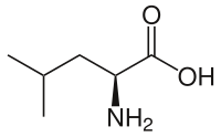 L-Leucine.svg