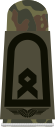 LA OS5 33a Oberfähnrich.svg