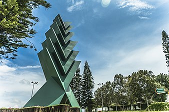 L'Araucaria, à Xalapa, Veracruz.