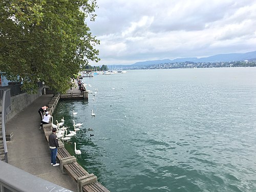 Lake in Zurich