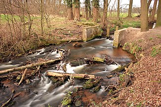 Old weir of the Landerbach near Sende