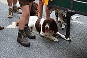 Deutsch: Erntedankumzug beim Landhausfest 2022 in St. Pölten anlässlich 100 Jahre Niederösterreich