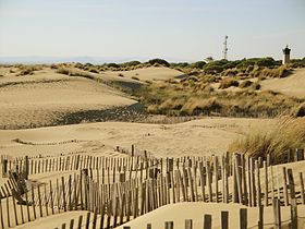 Les dunes de l'Espiguette