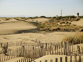 Pointe de lEspiguette Dune system in France