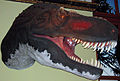 Naked Tyrannosaurus head, should be within the probable, considering the many extant birds with naked heads and necks