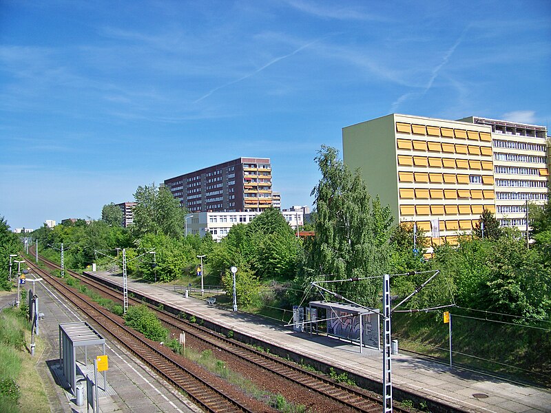 File:Leipzig Gruenau5.jpg