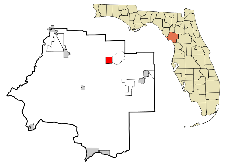 File:Levy County Florida Incorporated and Unincorporated areas Bronson Highlighted.svg