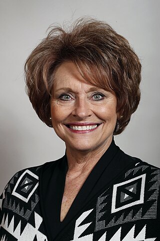 <span class="mw-page-title-main">Linda Upmeyer</span> American politician