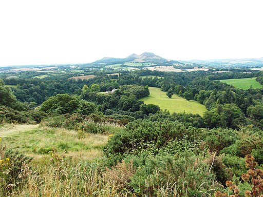 Looking westwards from Scott's View - geograph.org.uk - 3625040