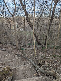 Lookout Hill (bukid sa Tinipong Bansa, New York)