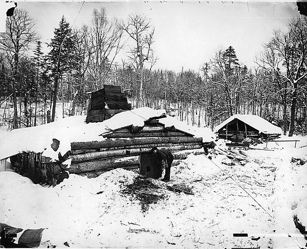 Lumbermen's shanty, Muskoka District (1873)