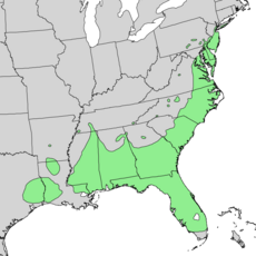 Mapa rozšíření Magnolia virginiana