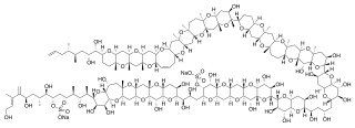 Strukturformel von Maitotoxin-1