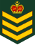 Staff Sergeant