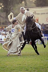 Peruvian Paso horse festival during marinera and spring