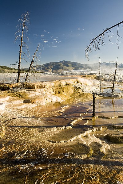 File:Mammoth hot springs yellowstone.jpg